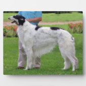 Borzoi Portrait Fotoplatte (Vorderseite)