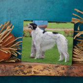 Borzoi Portrait Fotoplatte (Seite)