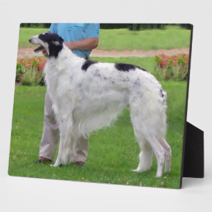 Borzoi-Porträt Fotoplatte