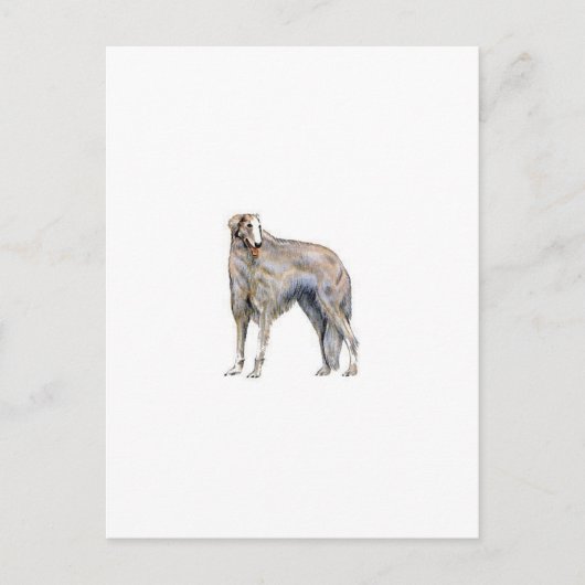 Borzoi Postkarte (Vorderseite)