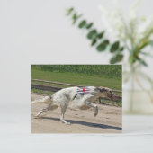 Borzoi Postkarte (Stehend Vorderseite)