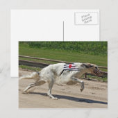 Borzoi Postkarte (Vorne/Hinten)