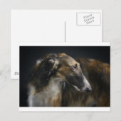 Borzoi Postkarte (Vorne/Hinten)