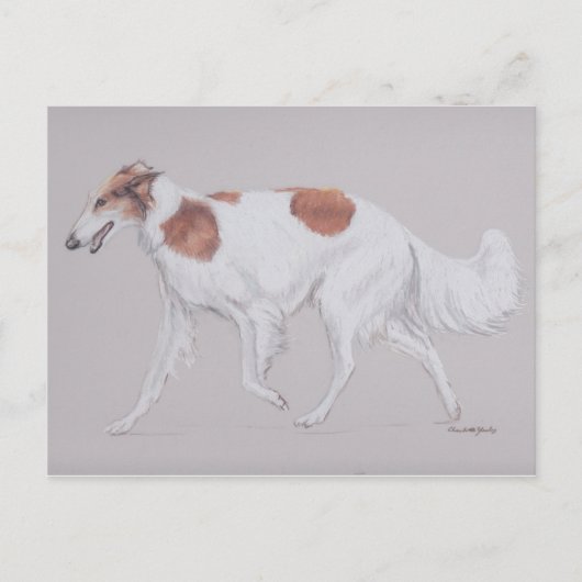 Borzoi Russia Wolfhound Canine Dog Art Postcard Postkarte (Vorderseite)