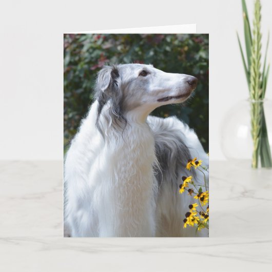 Borzoi Russian Wolfhound Dog Art Foto Card Karte (Vorderseite)