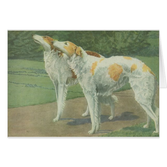Borzoi (russischer Wolfhound) (Vorderseite (Horizontal))