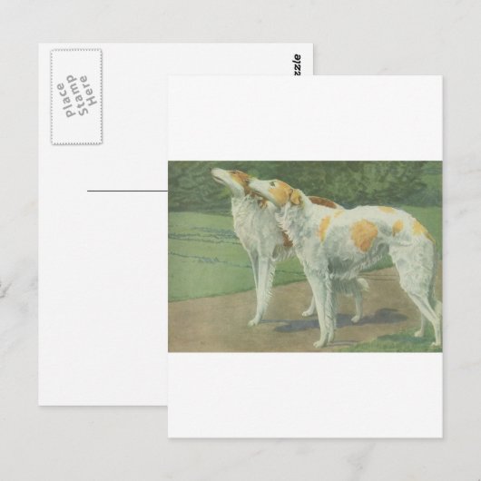 Borzoi (Russischer Wolfhound) Postkarte (Vorne/Hinten)
