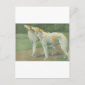 Borzoi (Russischer Wolfhound) Postkarte (Vorderseite)