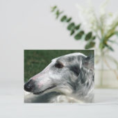 Borzoi, Russischer Wolfhound Postkarte (Stehend Vorderseite)