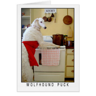 Borzoi Russischer Wolfshund "Wolfhound Puck" Hund