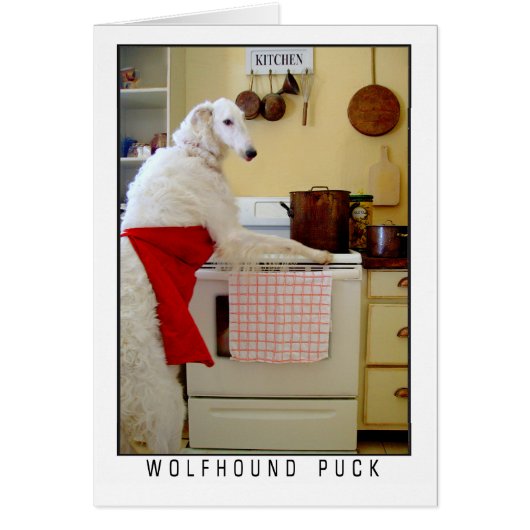 Borzoi Russischer Wolfshund "Wolfhound Puck" Hund (Vorne)