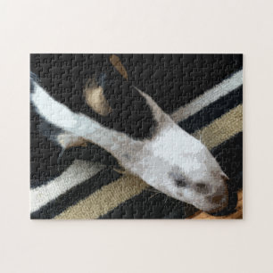 Borzoi-Schnauze Puzzle