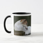 BORZOI-TASSE TASSE (Links)
