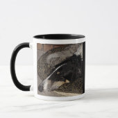 BORZOI-TASSE TASSE (Links)