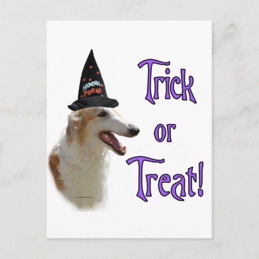 Borzoi Trick Postkarte (Vorderseite)