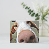 Bo's Nase Postkarte (Stehend Vorderseite)
