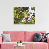 Bosc Birne auf dem Baum Leinwanddruck (Insitu (Wohnzimmer))