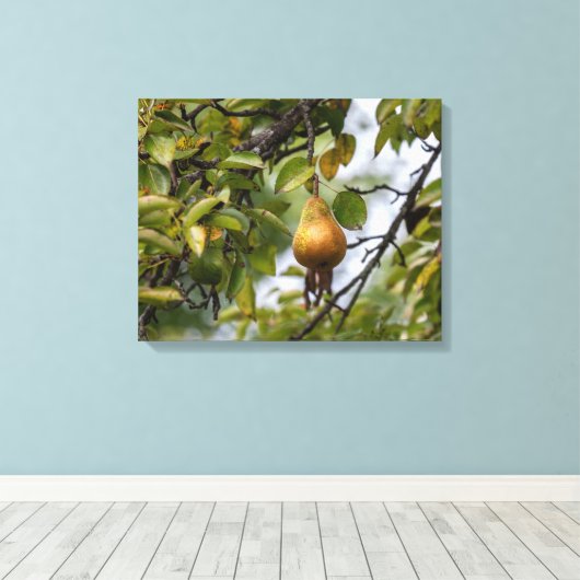 Bosc Birne auf dem Baum Leinwanddruck (Insitu (Holzboden))