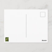 Bosc Birne auf dem Baum Postkarte (Rückseite)