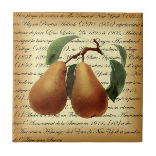 Bosc Pears~Léon Leclerc~Ulysses Prentis Hedrick~ Fliese
