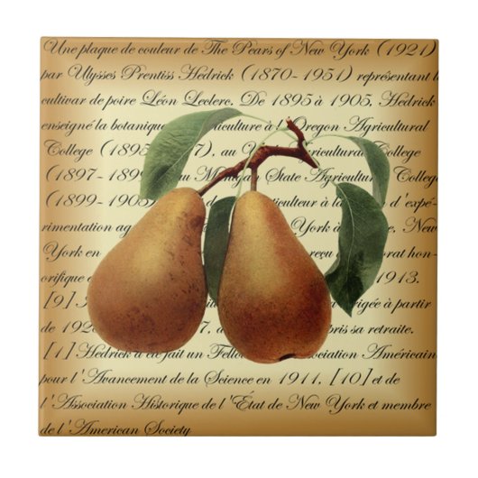 Bosc Pears~Léon Leclerc~Ulysses Prentis Hedrick~ Fliese (Vorderseite)