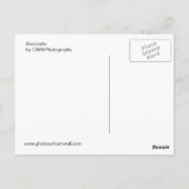 Boscastle Postkarte (Rückseite)