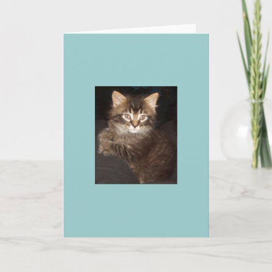 Bosco Karte (Vorderseite)