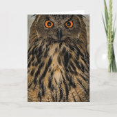 Böse aussehende Eule Karte (Vorderseite)