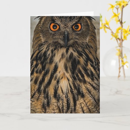 Böse aussehende Eule Karte (Gelbe Blume)