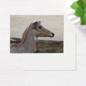 Boselaphus tragocamelus (Schreibtisch)