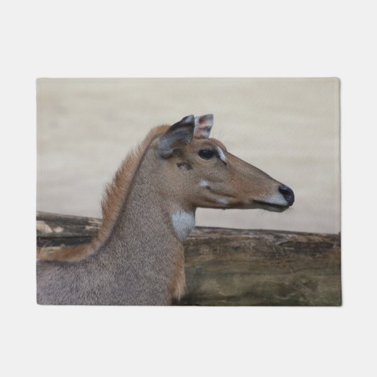 Boselaphus tragocamelus fußmatte (Vorderseite)