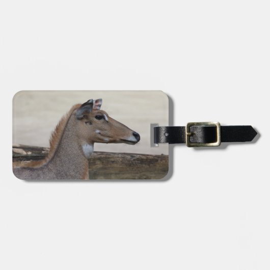 Boselaphus tragocamelus gepäckanhänger (Vorderseite horizontal)