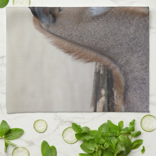 Boselaphus tragocamelus geschirrtuch (Gefaltet)