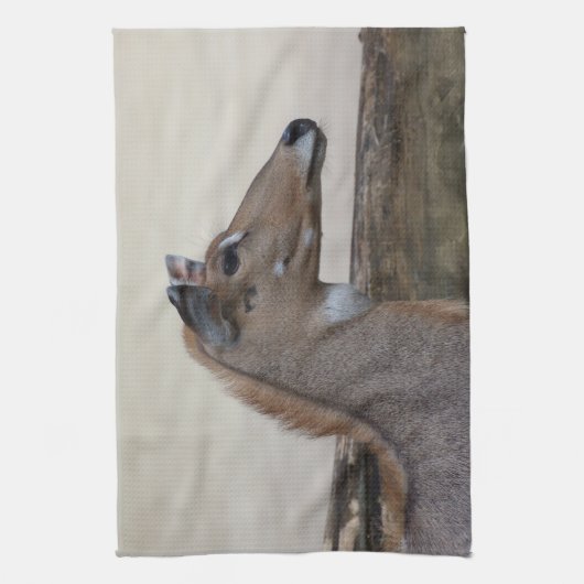 Boselaphus tragocamelus geschirrtuch (Vertikal)