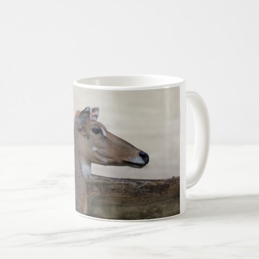 Boselaphus tragocamelus kaffeetasse (VorderseiteRechts)