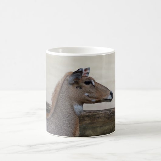 Boselaphus tragocamelus kaffeetasse (Mittel)