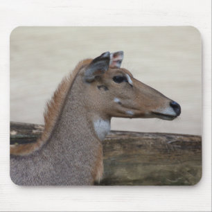 Boselaphus tragocamelus mousepad