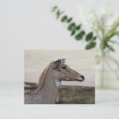 Boselaphus tragocamelus postkarte (Stehend Vorderseite)