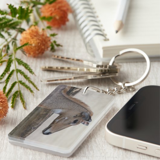 Boselaphus tragocamelus schlüsselanhänger (Vorderseite rechts)