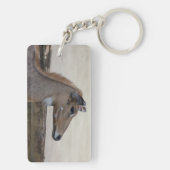 Boselaphus tragocamelus schlüsselanhänger (Rückseite)