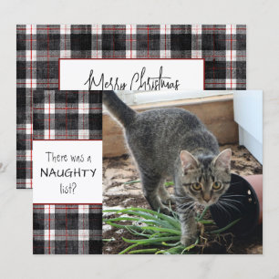 Böser Katzenfoto-Plaid-Weihnachten Feiertagskarte
