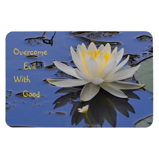 Böses mit Gut überwinden Magnet (Horizontal)