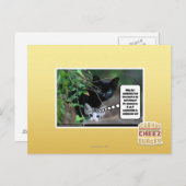 Böses Postkarte (Vorne/Hinten)