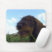 Boshaft Mousepad (Mit Mouse)