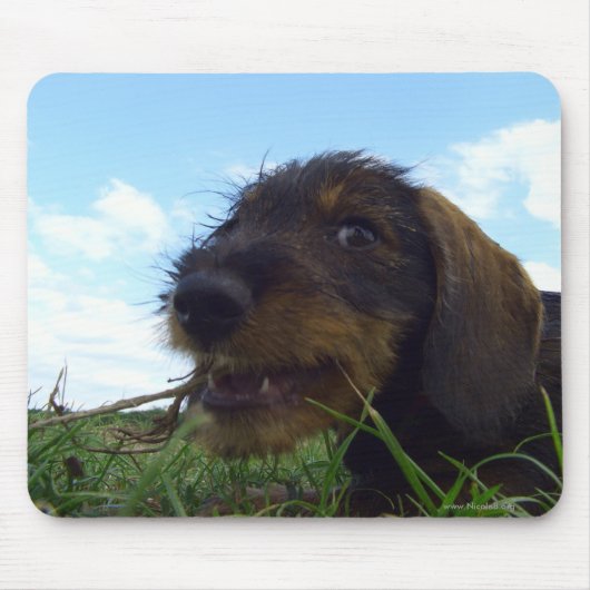 Boshaft Mousepad (Vorne)