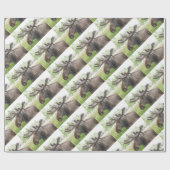 Boshafte Elche Geschenkpapier (Flach)