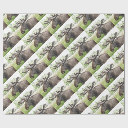 Boshafte Elche Geschenkpapier (Flach)