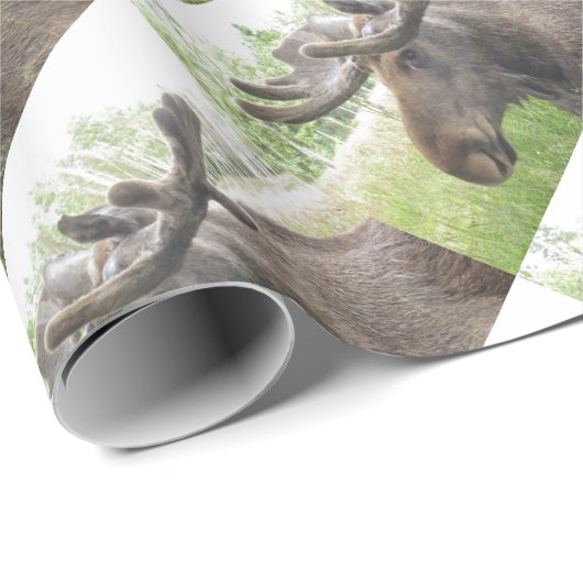 Boshafte Elche Geschenkpapier (Rolleneckpunkt)