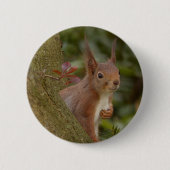 Boshaftes rotes Eichhörnchen Button (Vorderseite)
