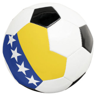bosnia und herzegovina fußball